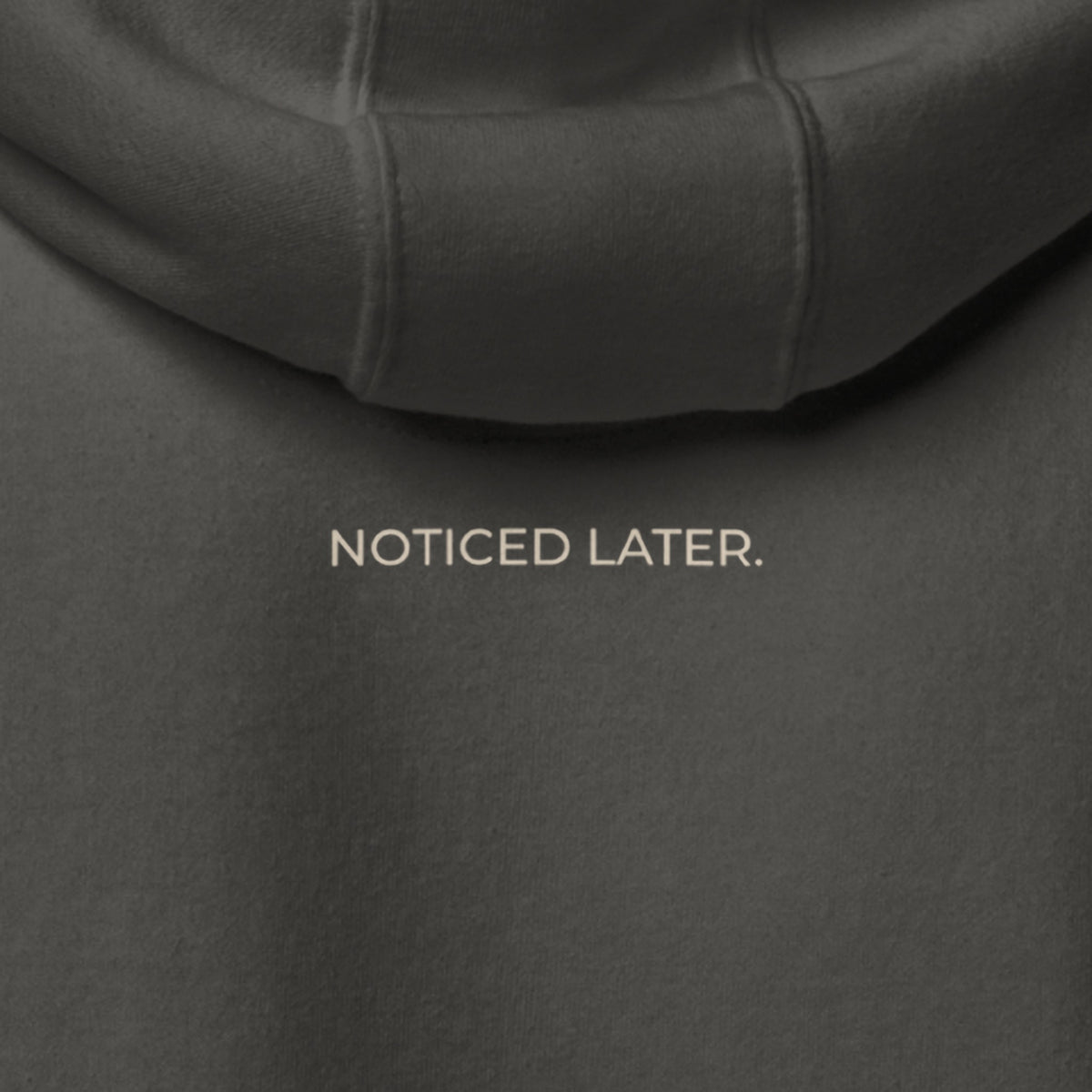 Close-up of the back of the Noticed Later Hoodie, NOTICED LATER. printed in sand under the hood.