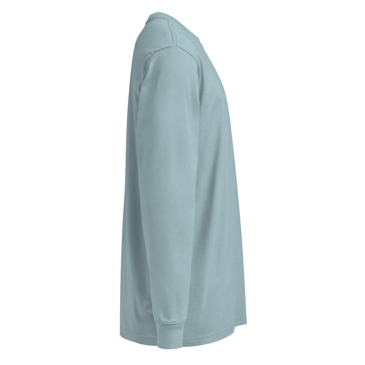 LOUPI GANG Studio Long Sleeve in Agave — right view mockup