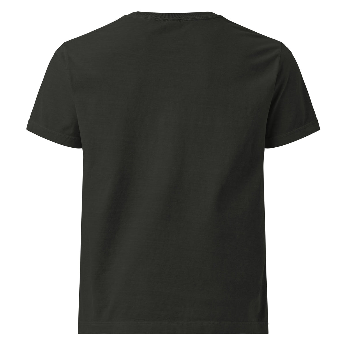 LOUPI GANG Signature Embroidered Tee in Washed Black — back view digital product mockup